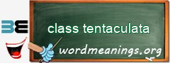 WordMeaning blackboard for class tentaculata